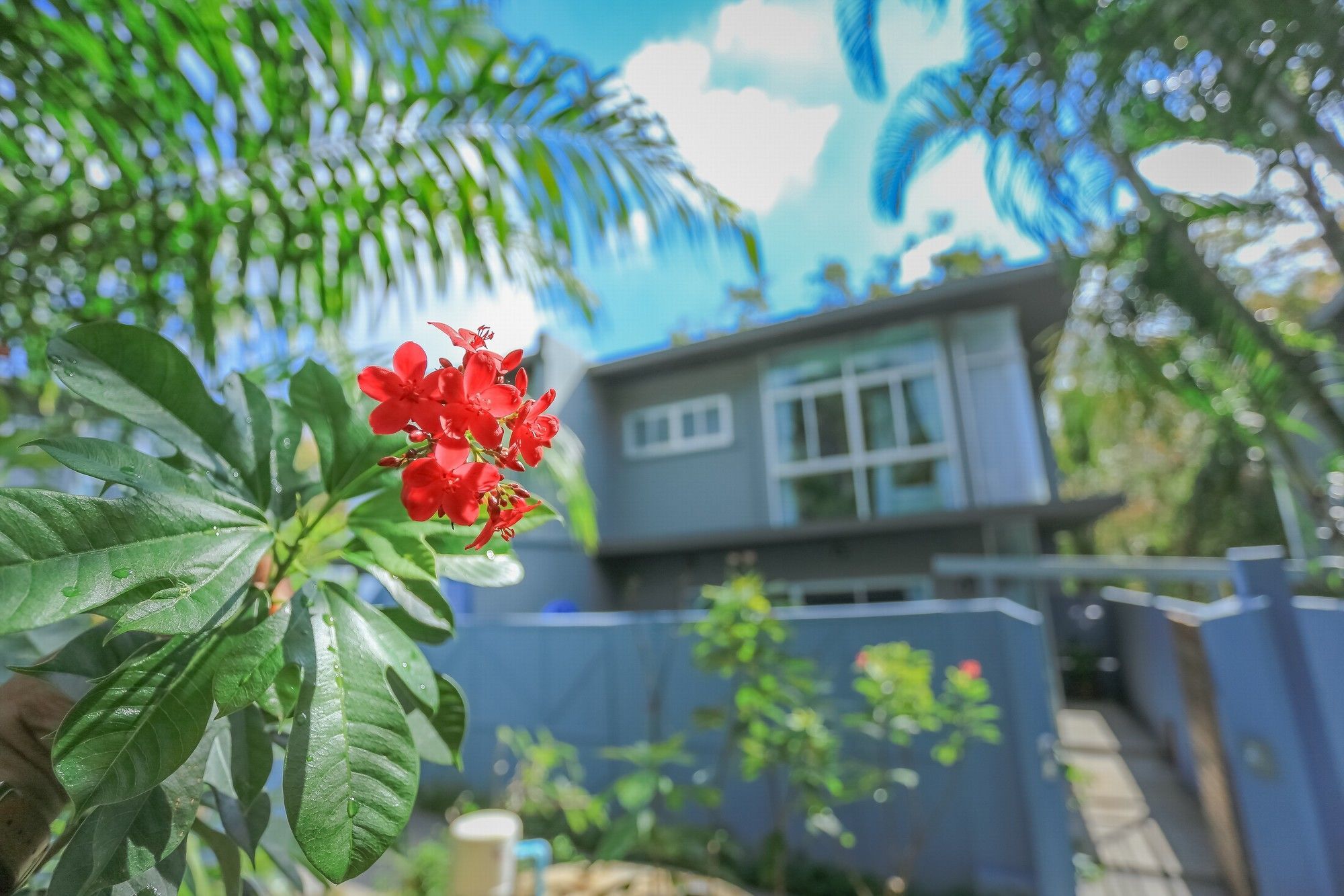 Tempat peranginan Sonata Phuket Chalong